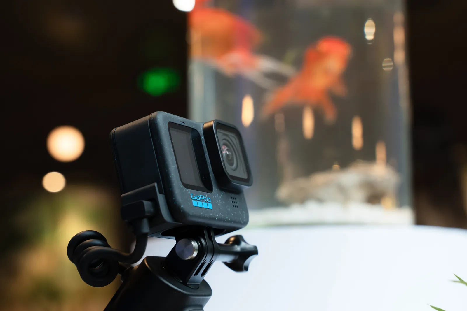 GoPro HERO12 Black5 MMOSITE - Thông tin công nghệ, review, thủ thuật PC, gaming