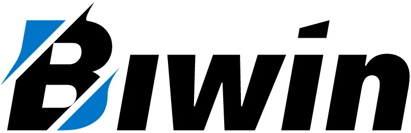 Biwin Consumer Logo horizontal rgb result MMOSITE - Thông tin công nghệ