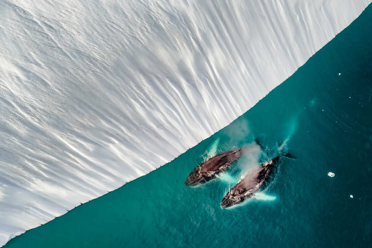 VIEWSONIC CÔNG BỐ CÁC TÁC PHẨM THẮNG GIẢI TẠI CUỘC THI TOÀN CẦU COLORPRO AWARDS LẦN THỨ 6 2 Image 2 Photography 2nd Place Parallel Flow Melts Into Breath Viet Bui Xuan result MMOSITE - Thông tin công nghệ