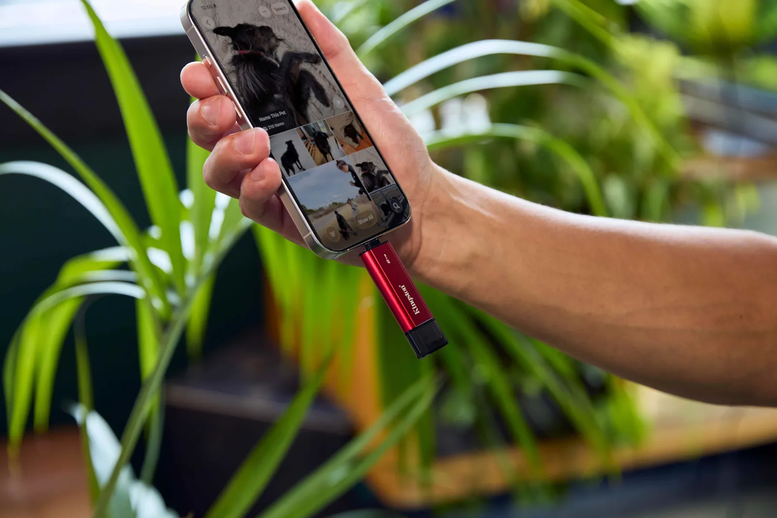 Kingston Ra Mắt Giải Pháp Lưu Trữ SSD Di Động Đa Kết Nối 1 kingston-ra-mat-luu-tru-ssd-di-dong-da-ket-noi